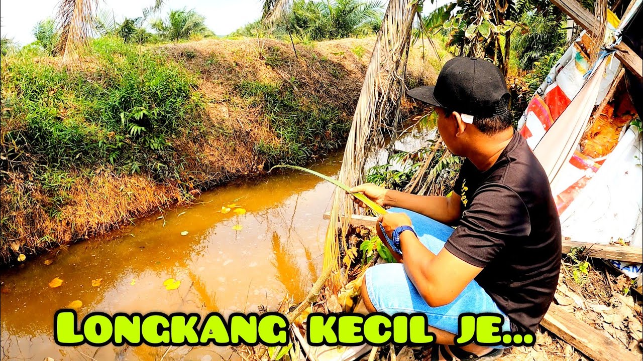 Pancing Dan Goreng//Puyu Dan Limbat