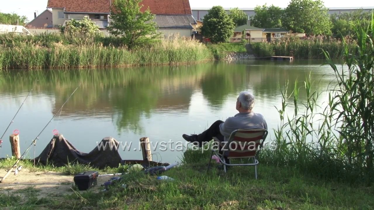 Gajiceva bara- Od divlje deponije do oaze zelenila