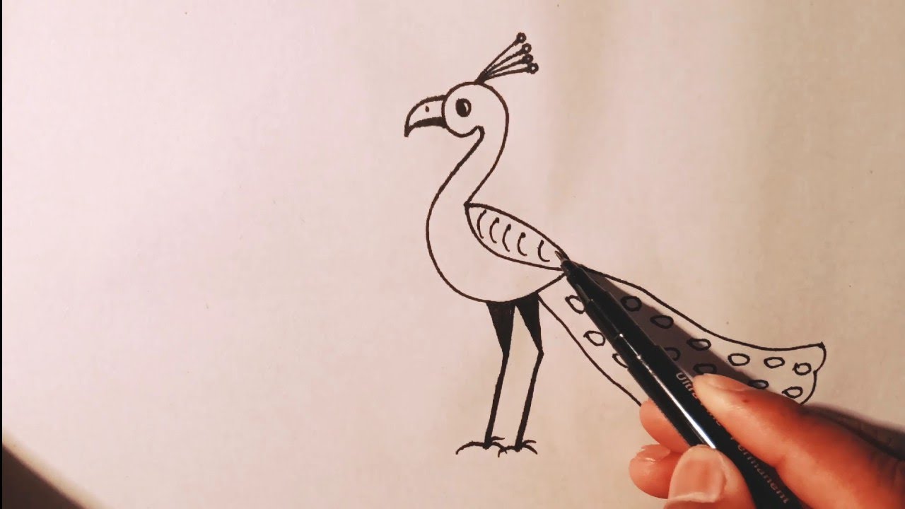 How To Draw A Peacock | Peacock Easy Draw Tutorial