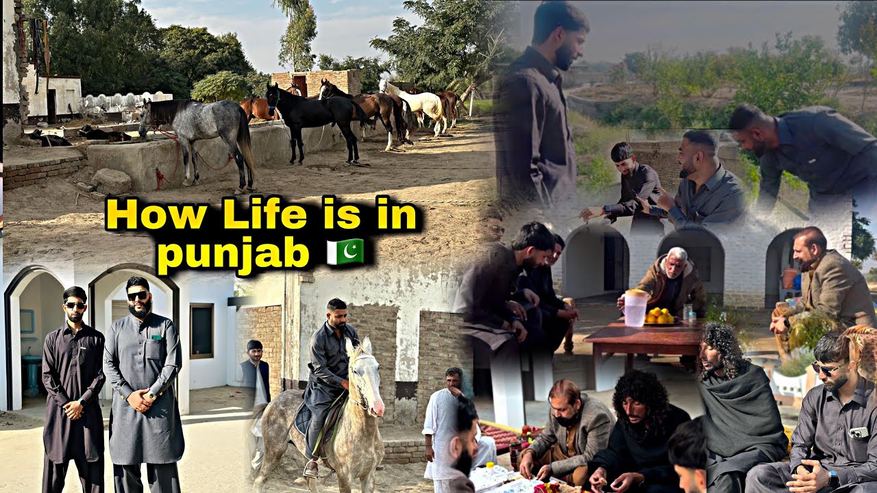 A day in the life of Punjab with Dad/ Banter with the boys 😂 🇵🇰 / Umzz D