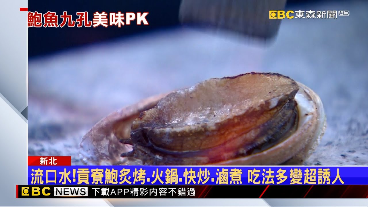貢寮鮑產季吃現撈！ 分「九孔、鮑魚」炙烤、滷煮吃法多 