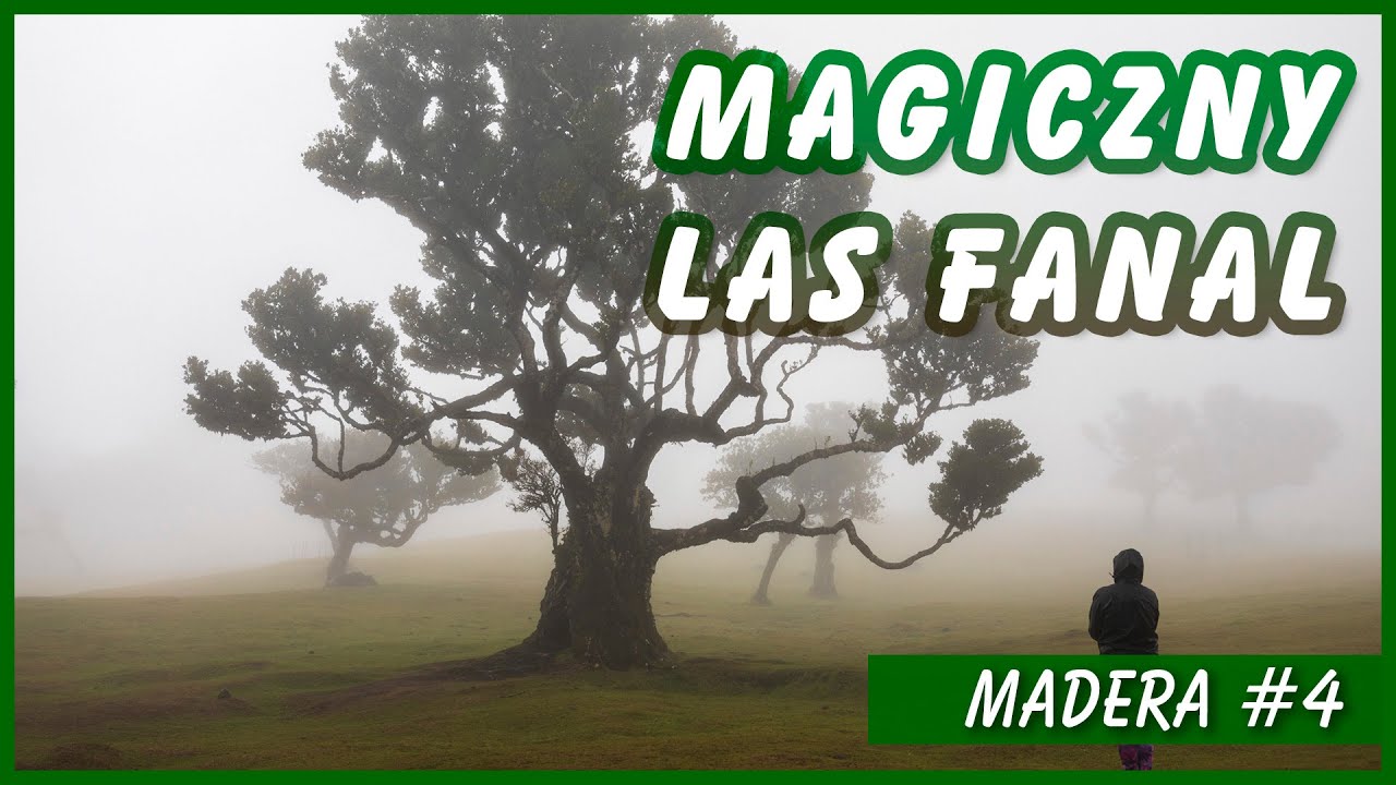 Mglisty las na MADERZE i magiczna dolina São Vicente