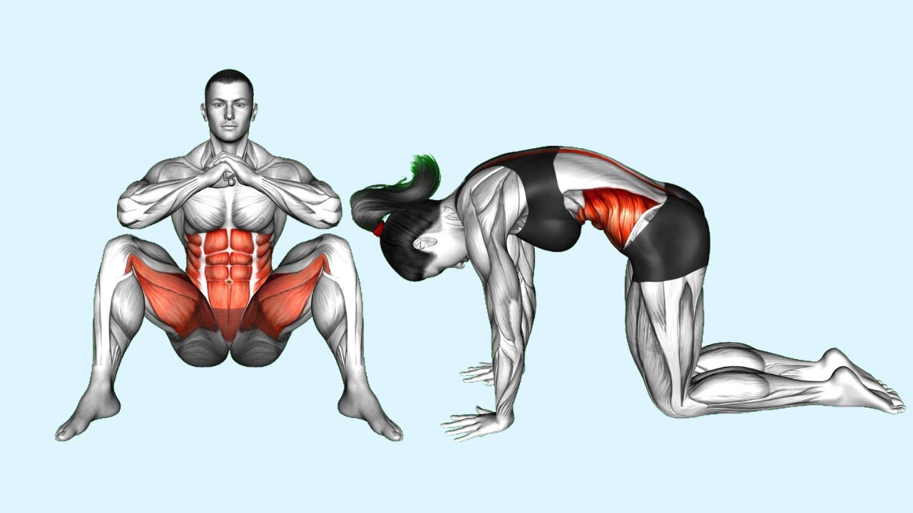 Fix Your Posture & Hips: The Anti-Desk Routine.