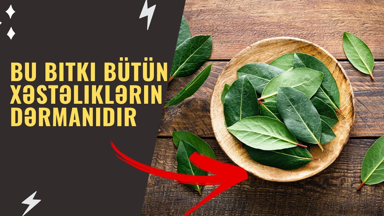 Dəfnə yarpağı çayının möhtəşəm faydaları. Bunu hər kəs bilmir.