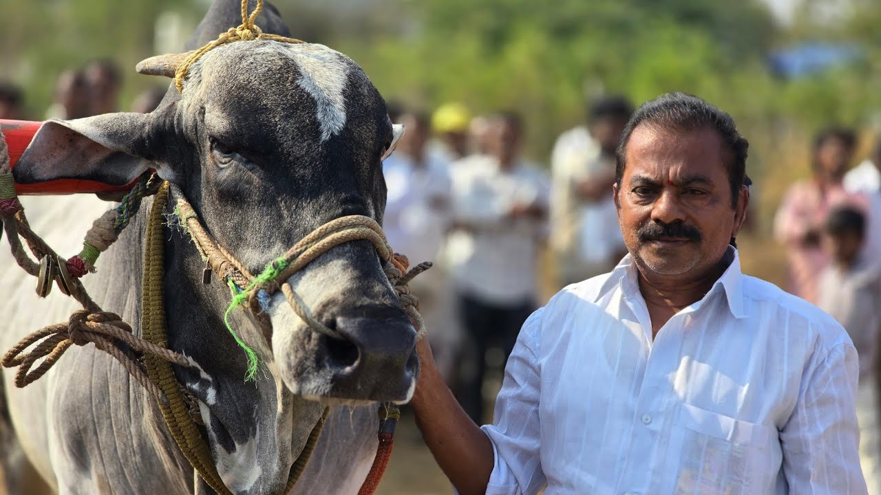 దొండపాడు న్యూ క్యాటగిరి విభాగంలో సో జతగా బొగ్గుల రామ ఓబుల్ రెడ్డి గారు