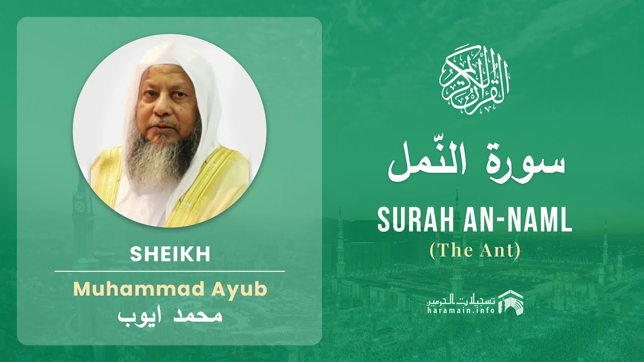 Quran 27   Surah An Naml سورة النّمل   Sheikh Mohammad Ayub - With English Translation