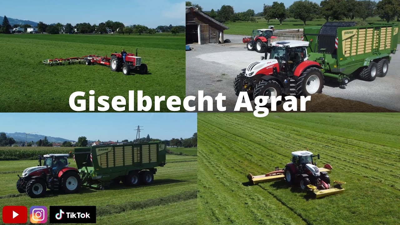 6. Schnitt in Vorarlberg🤩|#steyr #pöttinger #fella #krone #agriculture #landwirtschaft #viralvideo