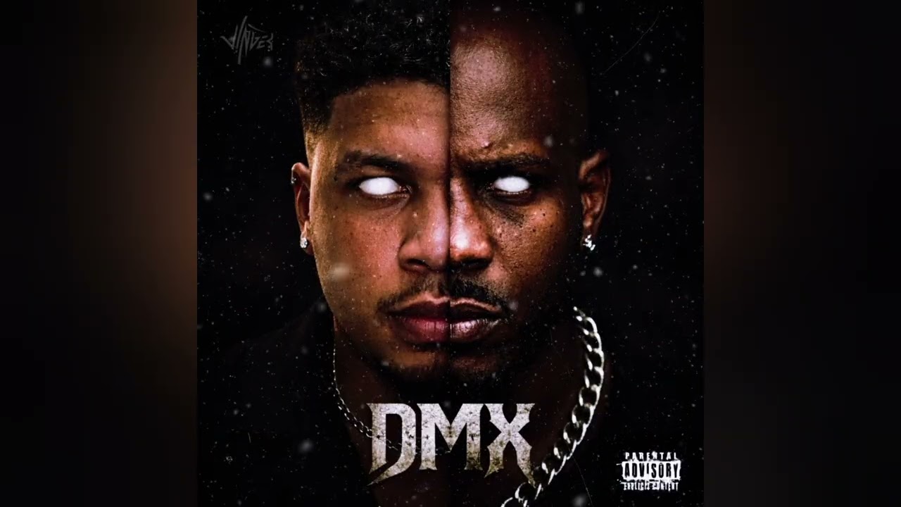 Vinger - DMX