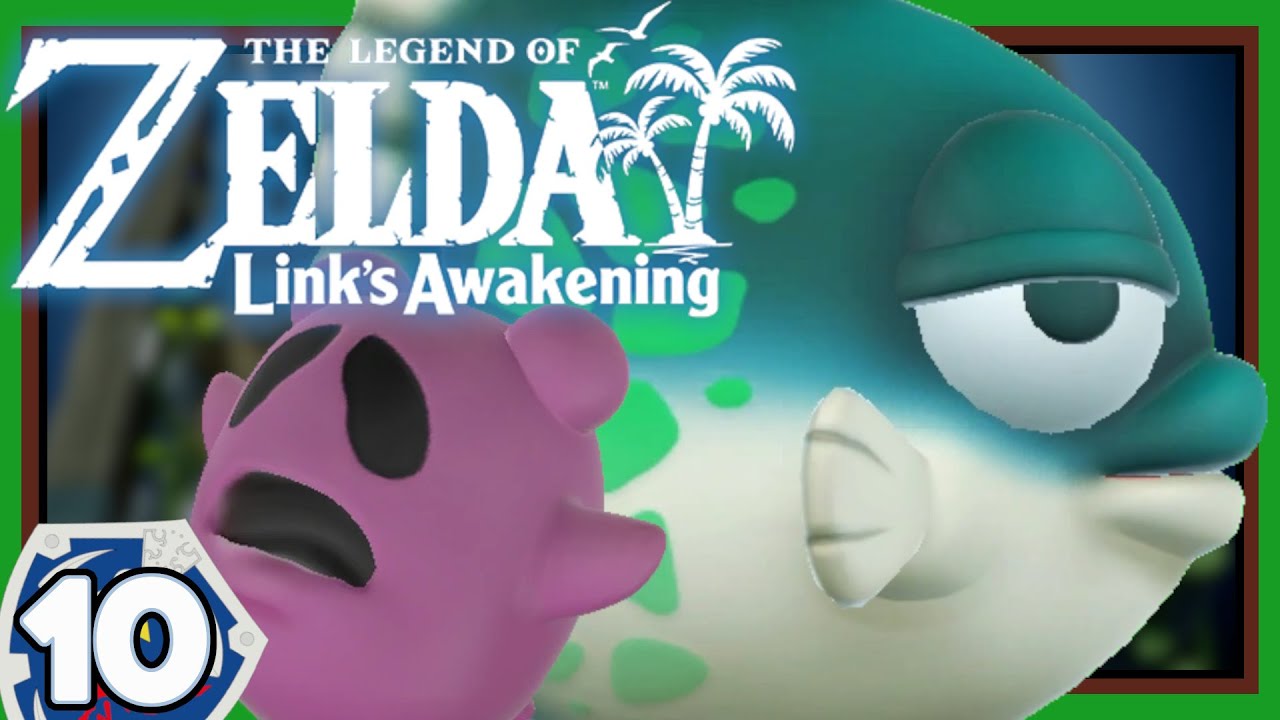 Ich werde verfolgt?!💭| The Legend of Zelda: Link’s Awakening | #10