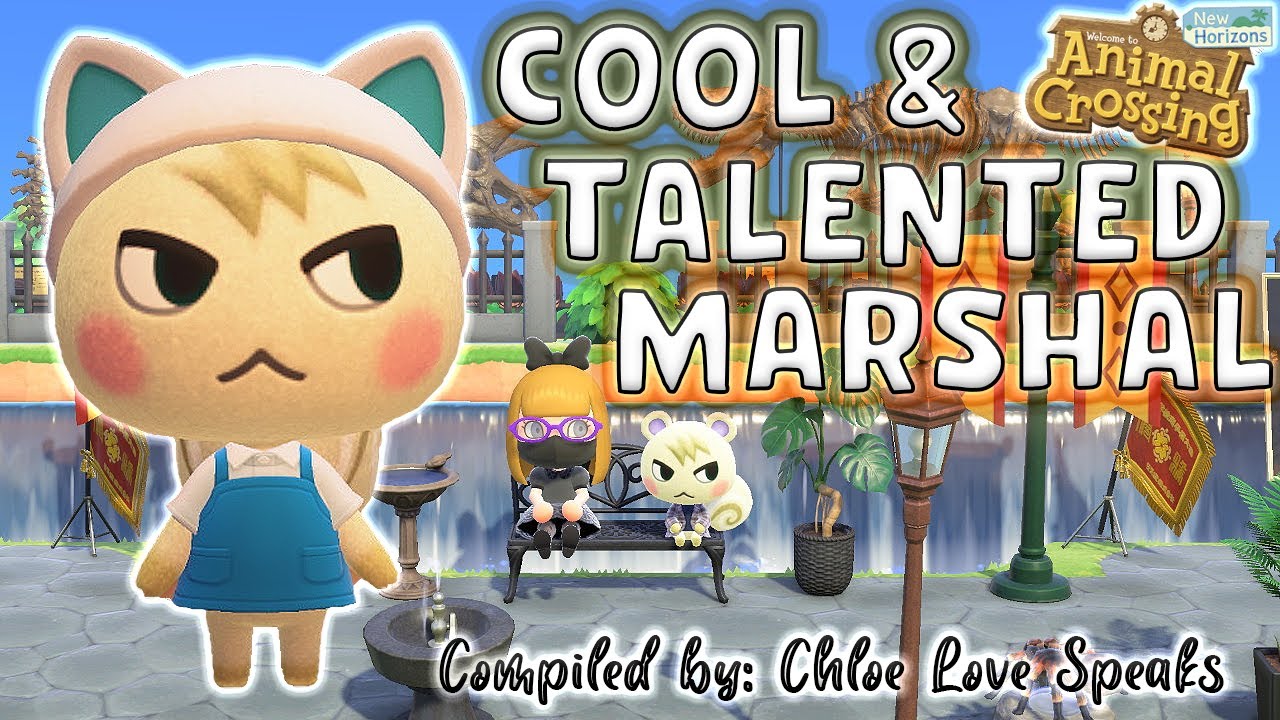 📌ALL ABOUT MARSHAL🐿️ジュン,🕶cool & 🎤talented Smug Squirrel villager in Animal Crossing New Horizons !!!