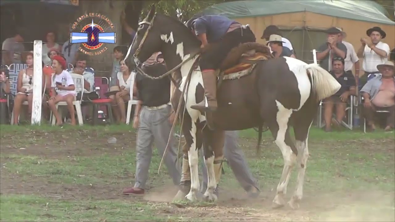 UNA COPLA EN LA LLANURA - JUAN RECOBICH VS EL 28