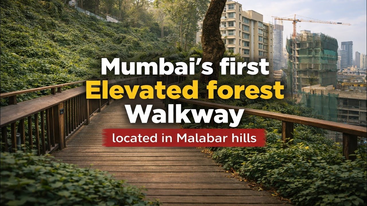 Mumbai’s First Elevated Forest Walkway – Malabar Hill