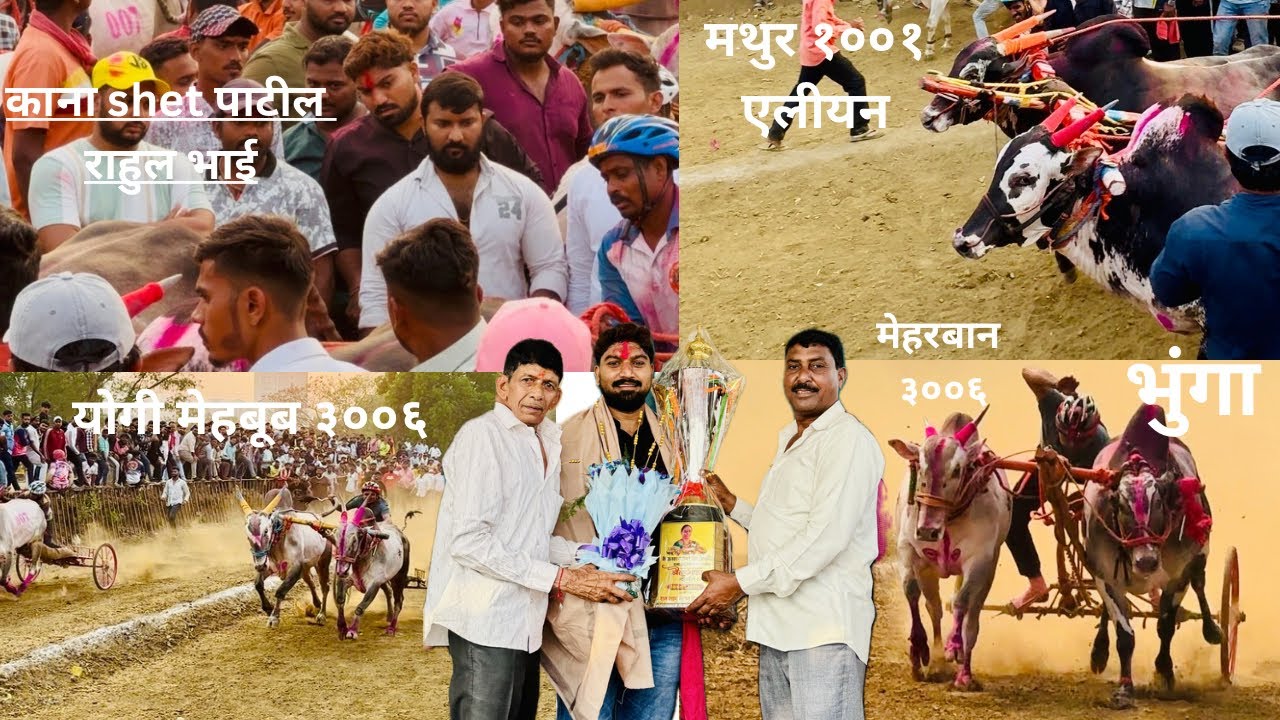 राम शाम मैदान खिडकाळी |छकड्यांच्या जंगी शर्यती 