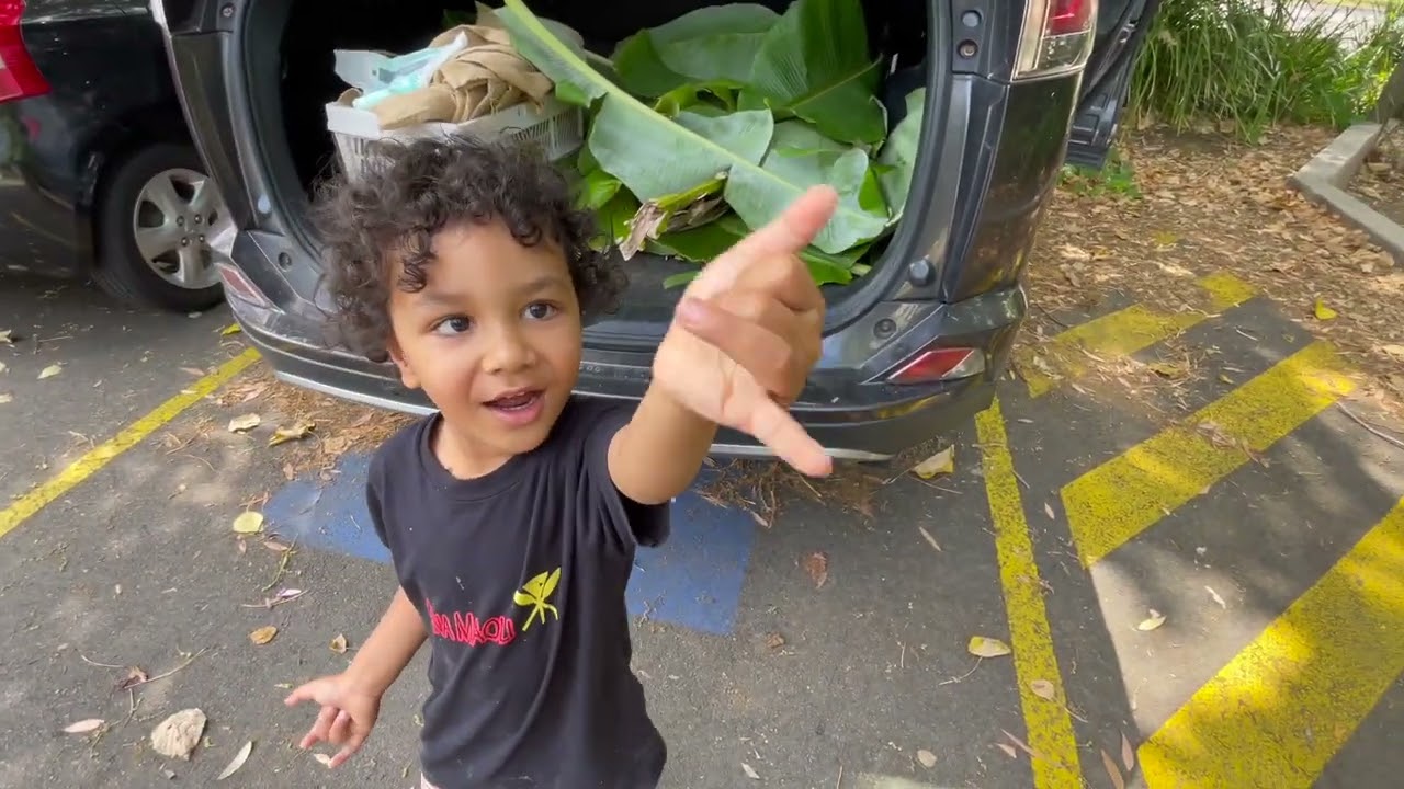🇫🇯 We Cooked a Fijian / Rotuman Koua in the Sunshine Coast | Underground Oven Feast!