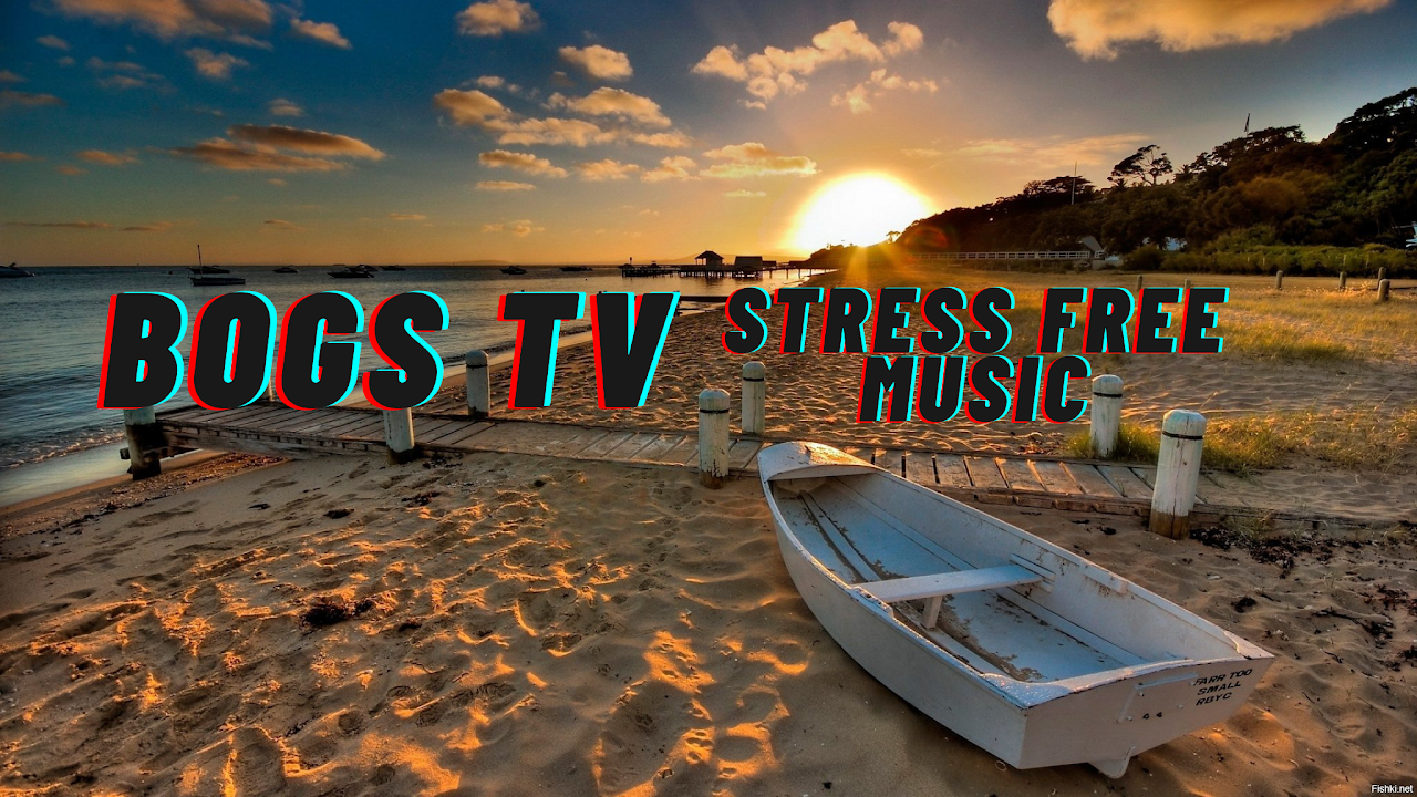 Bogs TV Live Stream