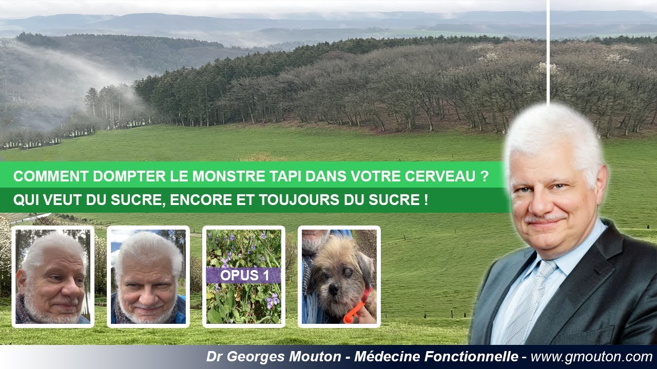 COMMENT DOMPTER LE MONSTRE TAPI DANS VOTRE CERVEAU ?