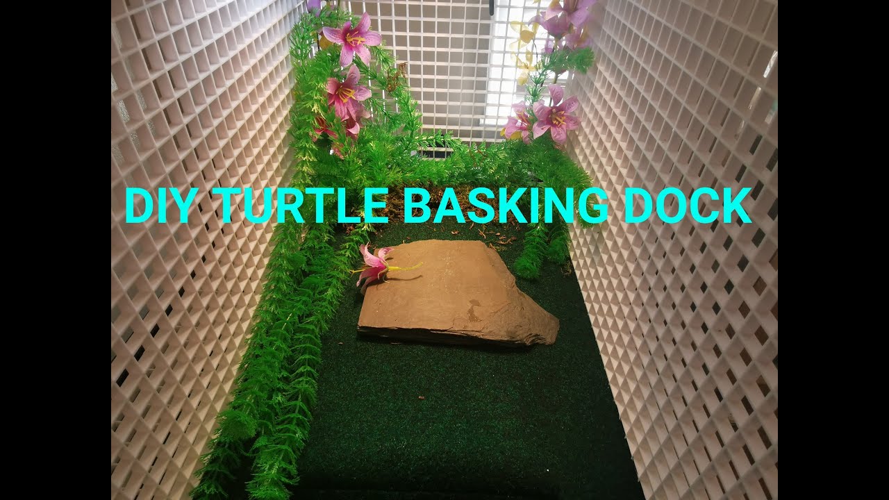 DIY TURTLE BASKING DOCK