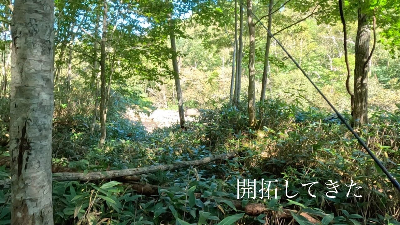 【渓流ルアー】昔、虹鱒がいたぞ！と聞いたのでたしかめに。
