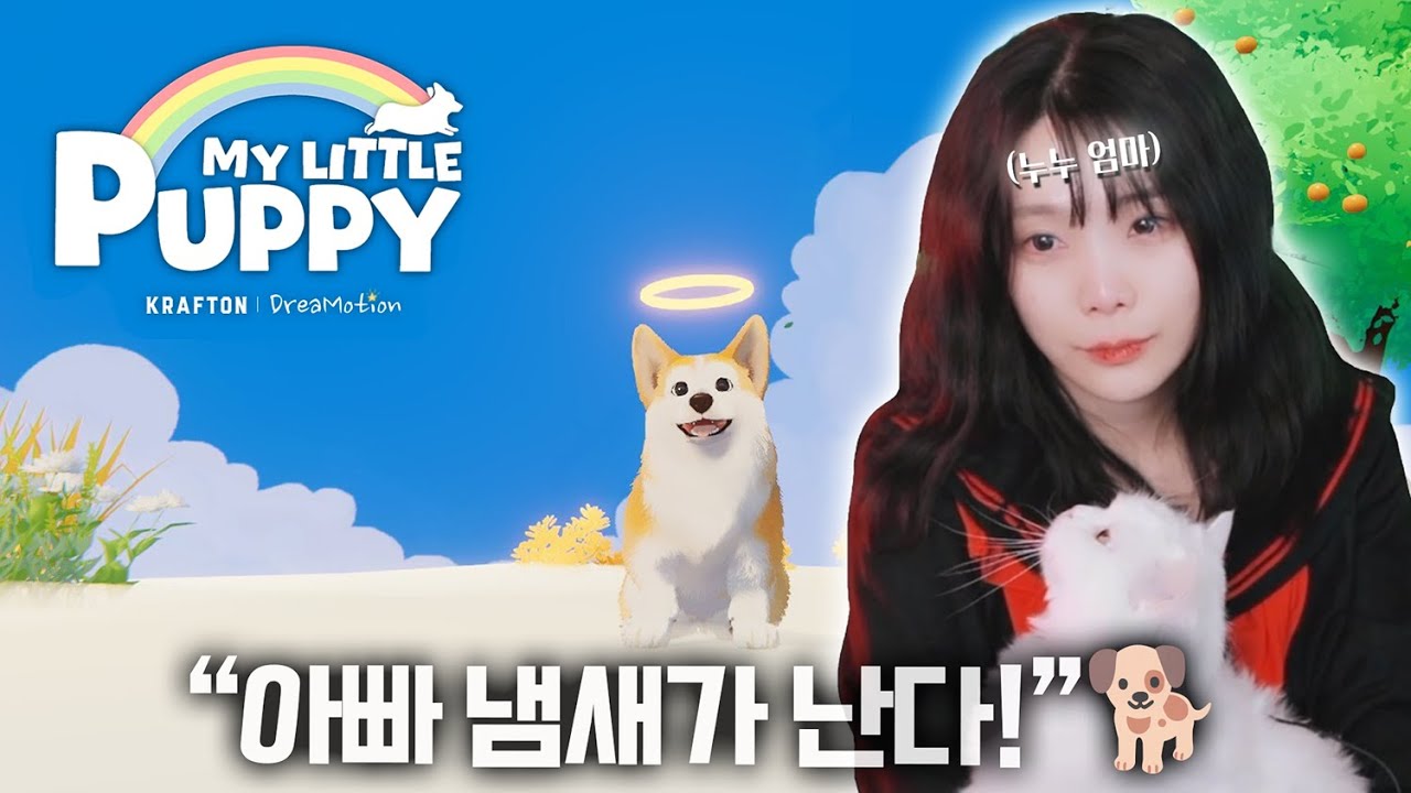 (눈물주의) 먼저 간 강아지가 나를 마중 온다면... [마이 리틀 퍼피]