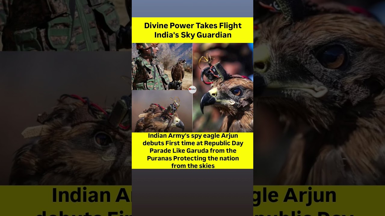 Meet Arjun, the Indian Army's ELITE Spy Eagle! 🦅🇮🇳 