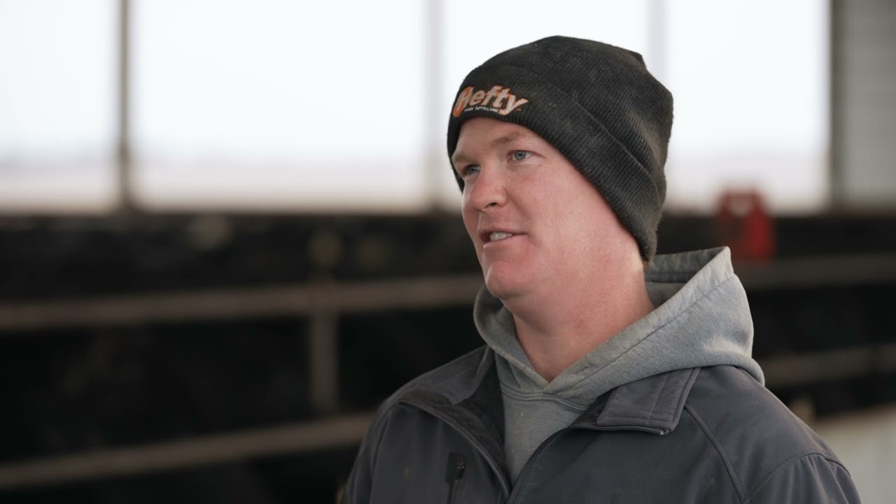 Beef Cattle on EASYFIX Slat Rubber - Kvols Farm, Laurel, Nebraska, USA
