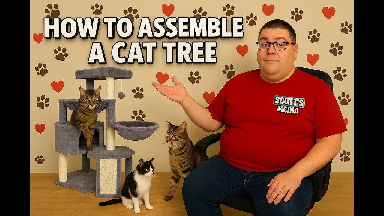 How to Assemble Xin Three Layer Cat Tree from Amazon &ndash; Step-by-Step Guide