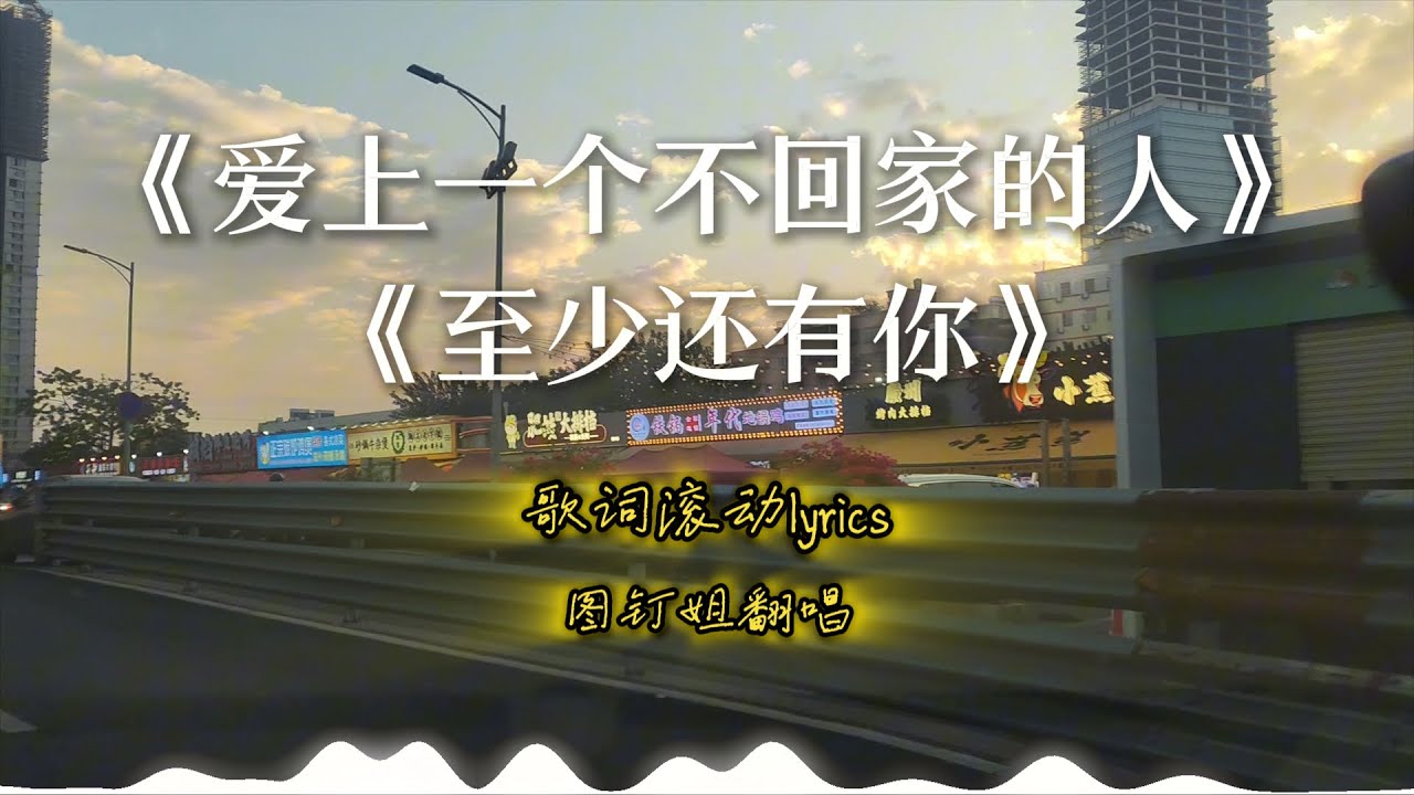 【爱上一个不回家的人】+【至少还有你】图钉姐翻唱 经典国语情歌#中文歌推荐