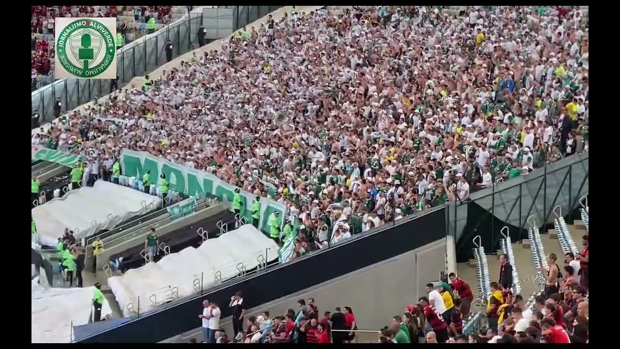 TORCIDA DO PALMEIRAS CALA O MARACANÃ COM LINDA FESTA EM JOGO CONTRA O FLAMENGO