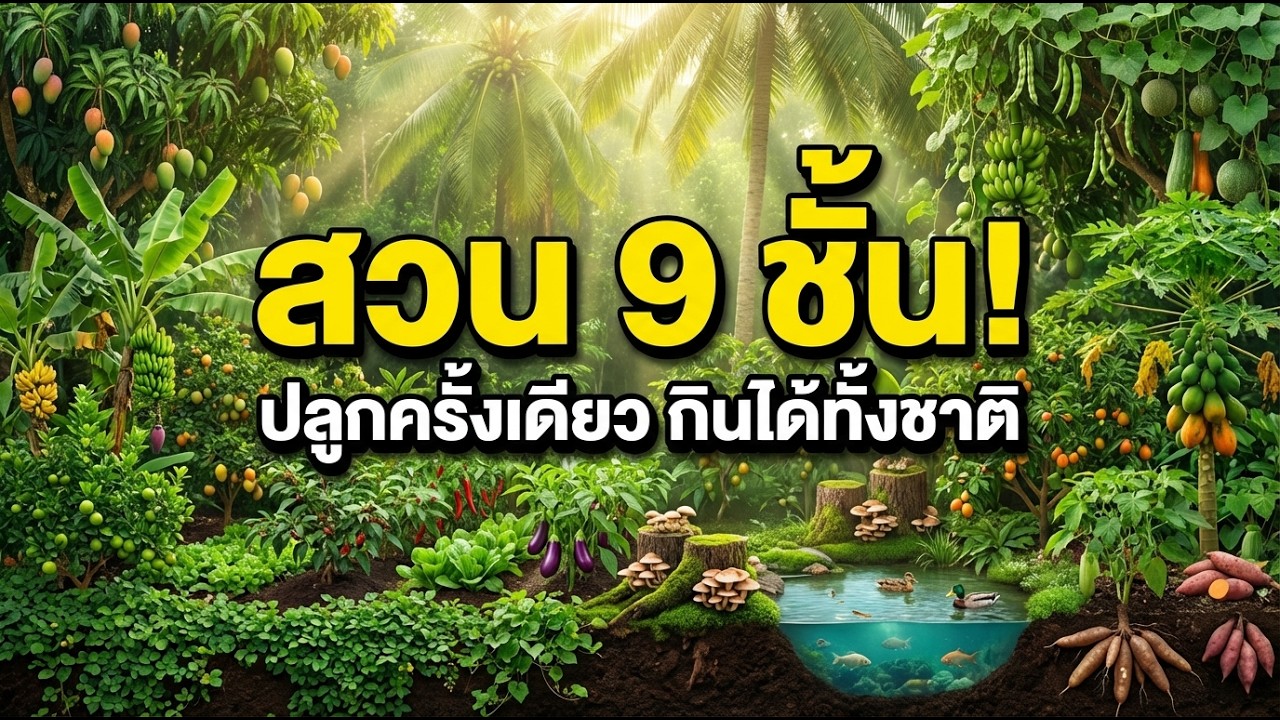 ปลูกครั้งเดียว กินได้ทั้งชาติ! เปิดสูตร “สวน 9 ชั้น” ปลูกทีเดียวมีอาหารตลอดชีวิต