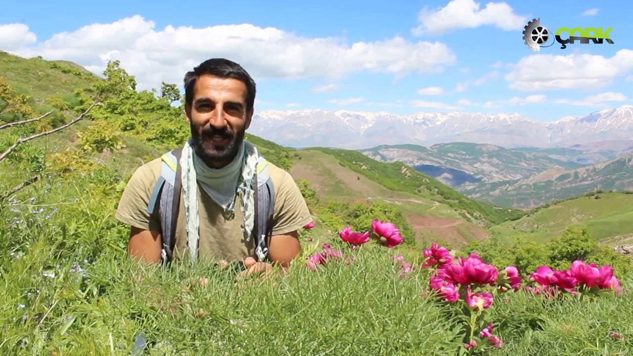 Mantarın izinde Dersim dağları...