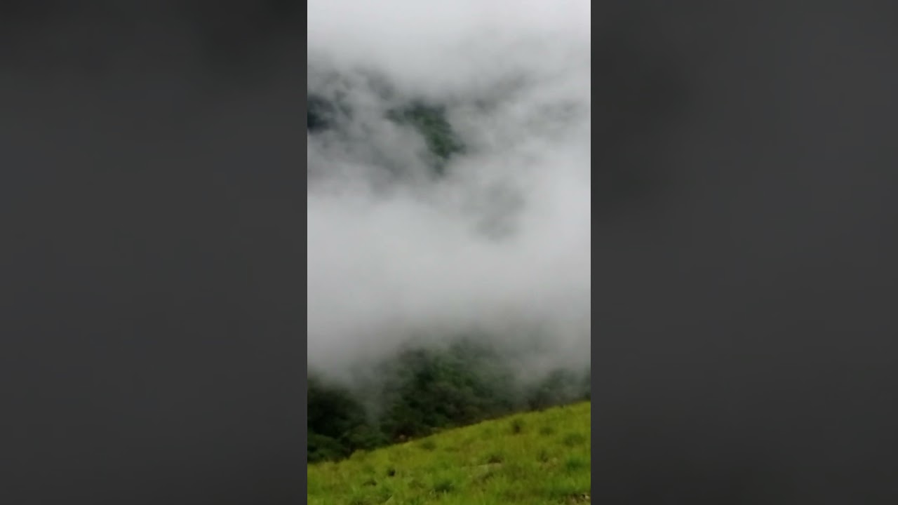 misty | narangala | නාරංගල | #shorts #srilanka #misty