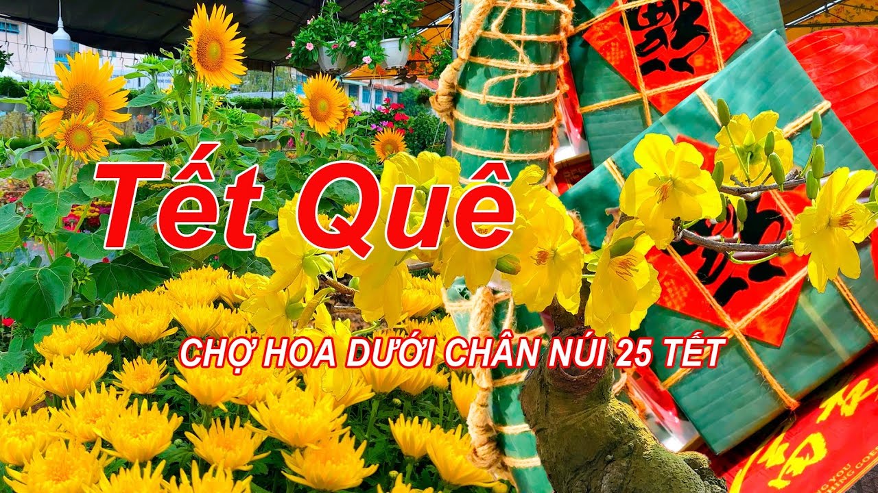 CHỢ HOA DƯỚI CHÂN NÚI TRI TÔN 25 TẾT 