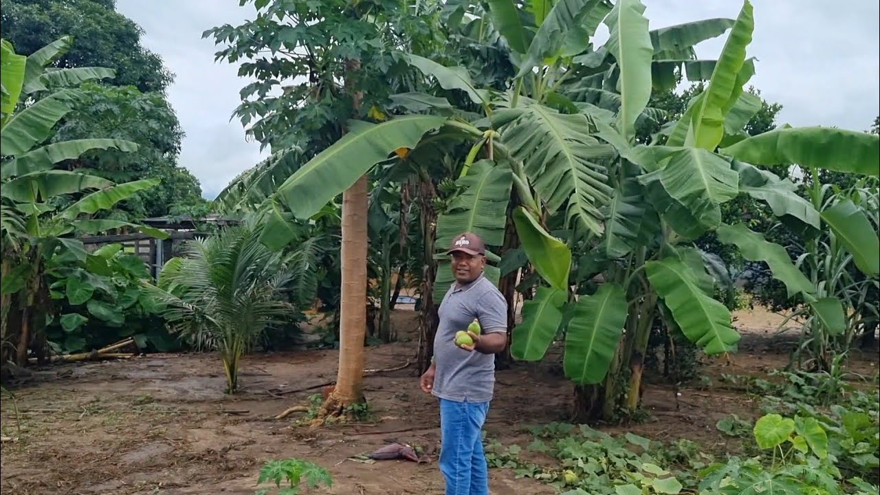 Onde ele mora mais parece um paraíso do que um sítio