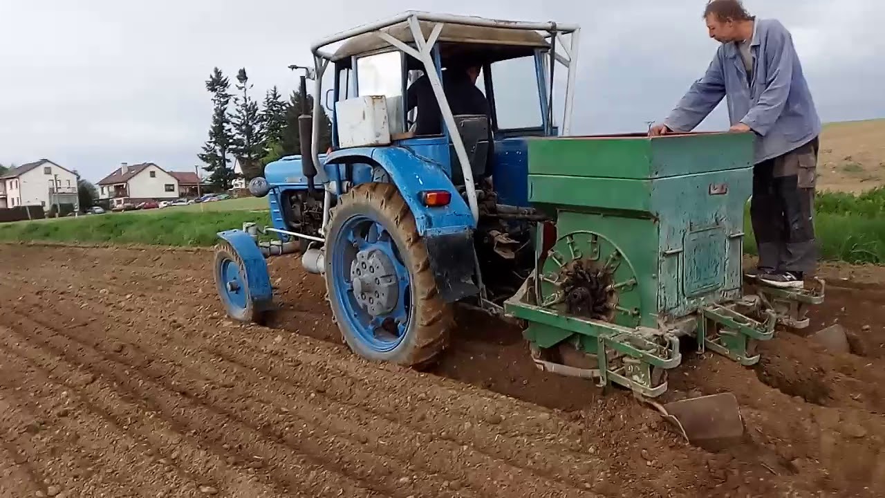 Sázení brambor se Zetorem 4011
