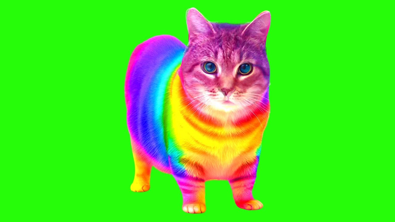 @XertXetinOfficial - RAINBOW - OIIA OIIA (Spinning Cat)