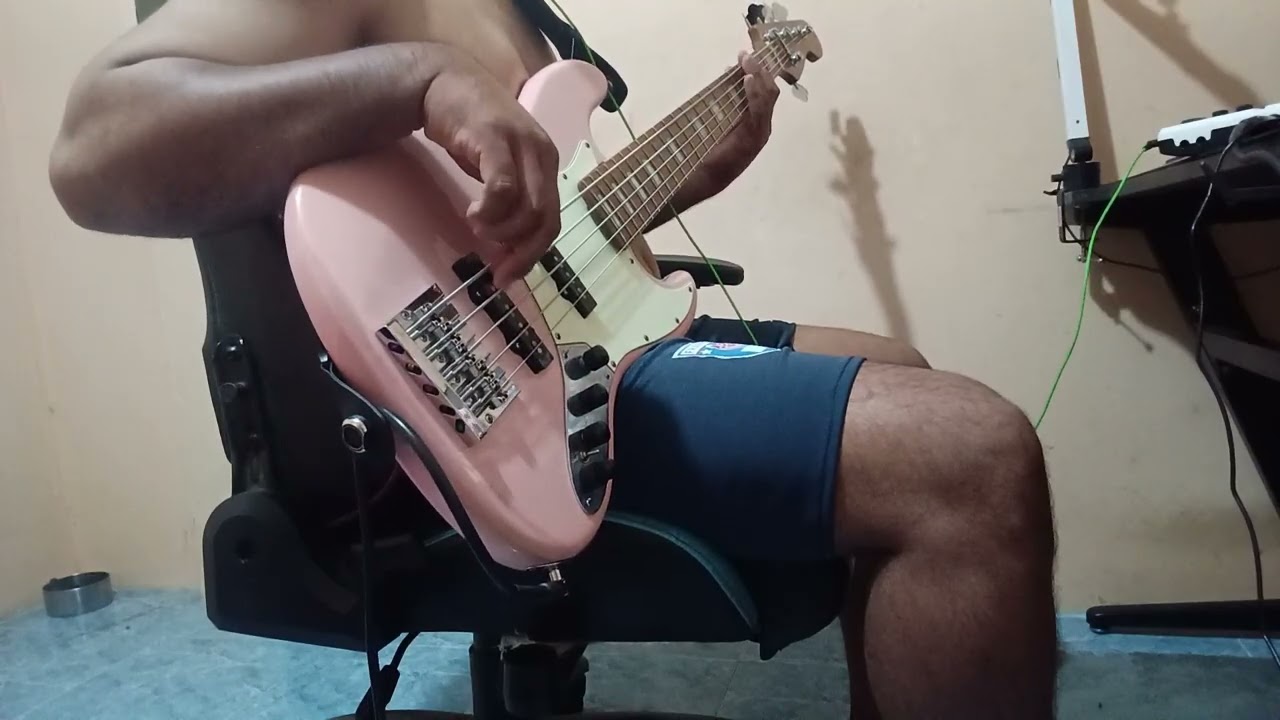 The Cranberries - Zombie [ Bass Cover ]