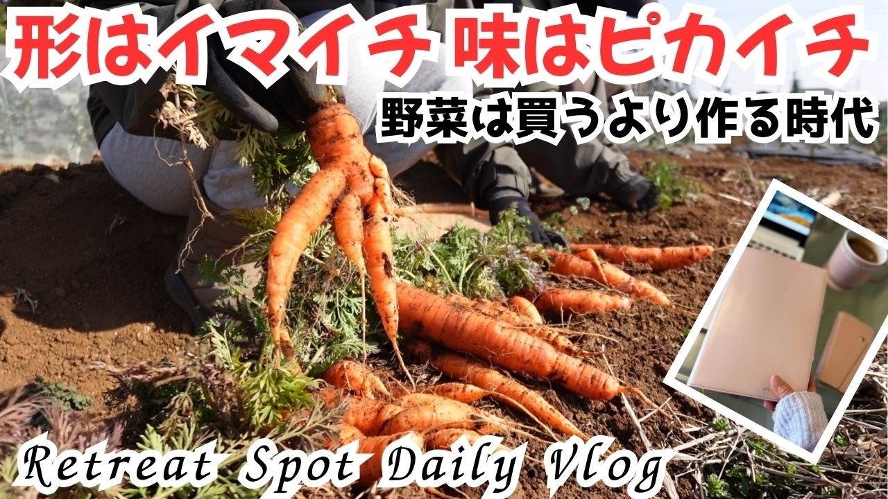 食べるだけじゃない！笑顔の源野菜🥕果たして無限キャベツになるのか？｜大根、人参、ブロッコリーの収穫｜カスタムオーダーの手帳カバー