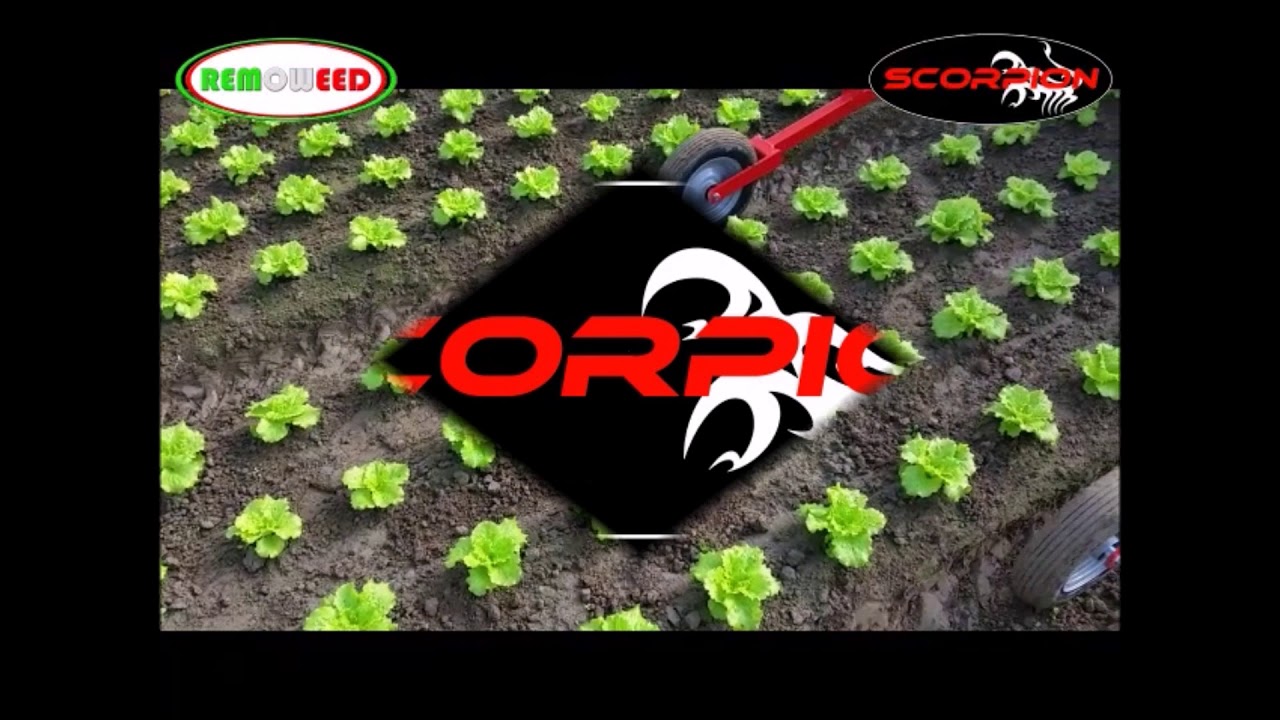 Remoweed: Automatic Weeder