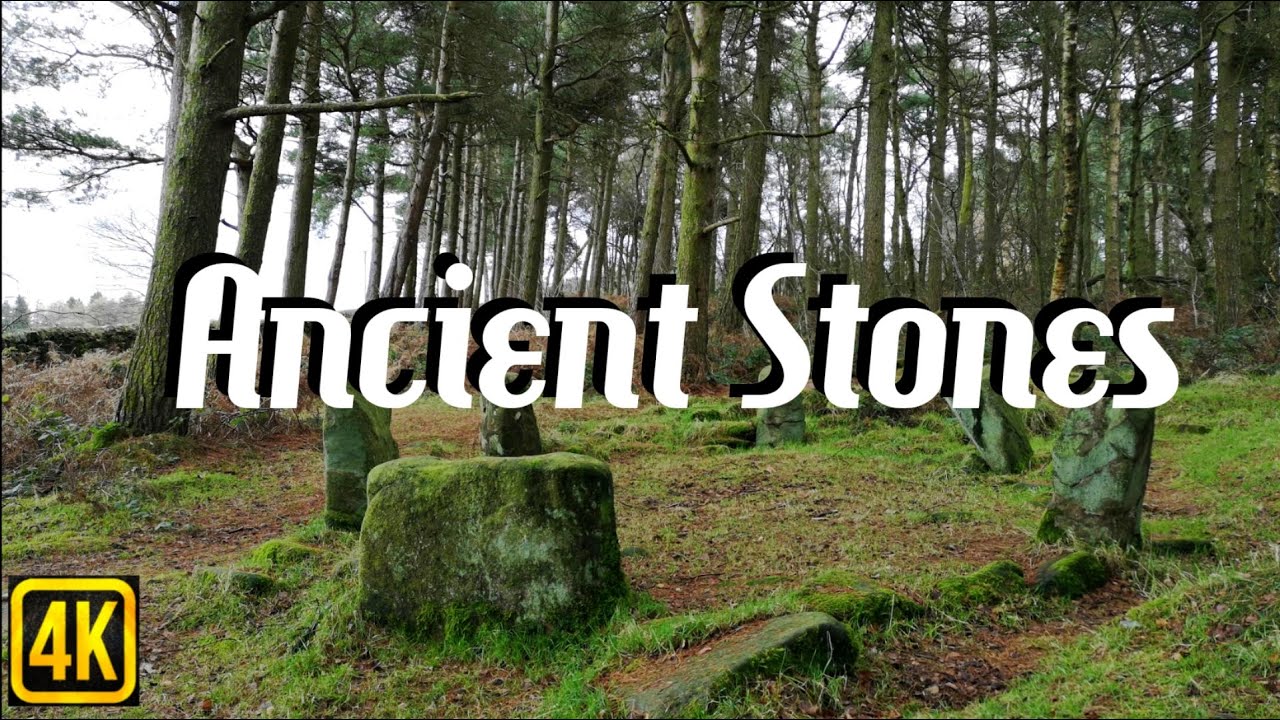 4K Relaxing Ambience - Ancient Stones - Woodland Atmosphere