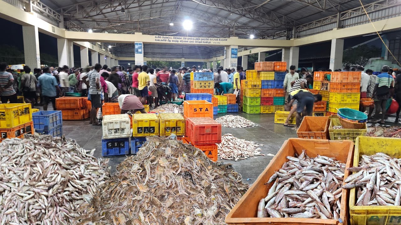 தசரா திருவிழா முடிந்து மீன்களின் விலைகளை பாருங்க