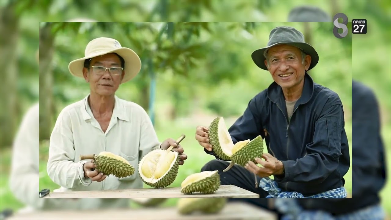 B2  EP.25|รายการลุยข่าวเกษตร|29 ม.ค. 69|เวลา 10.20-10.50 น.|ข่าวช่อง8 กดหมายเลข 27