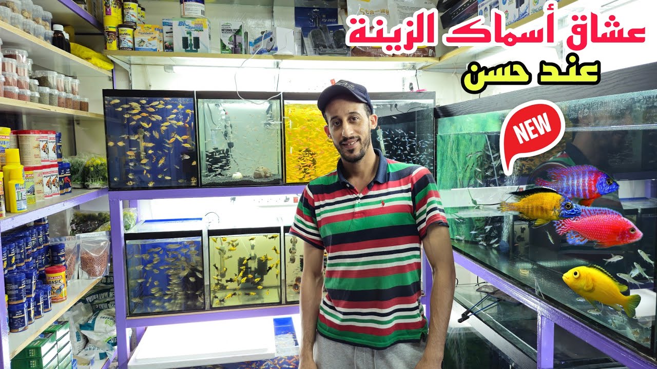 توليعة مسائية عند حسن🔥عشاق أسماك الزينة الجديد أجيو نتولعو نتعرفو على أتمنة السمك أكسيسوارات فرجة مم