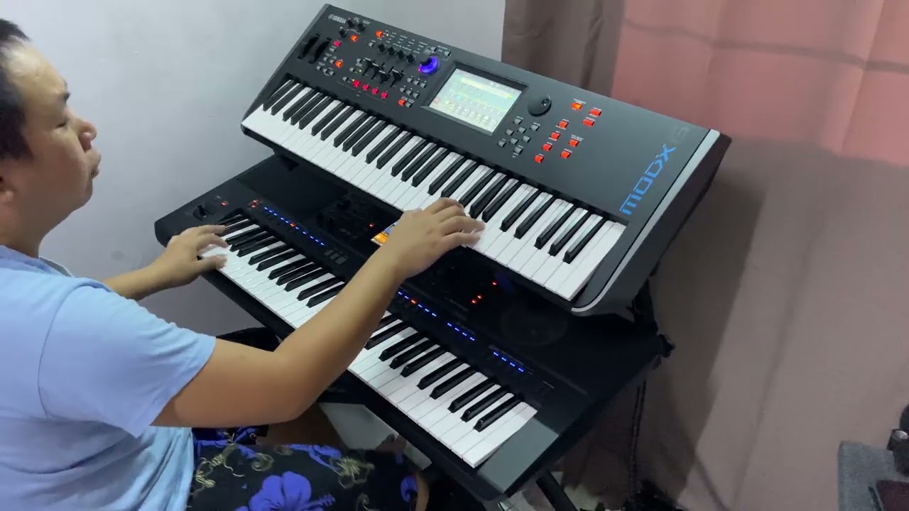 双电子琴演奏 人客的要求 (Cover by~Bu)