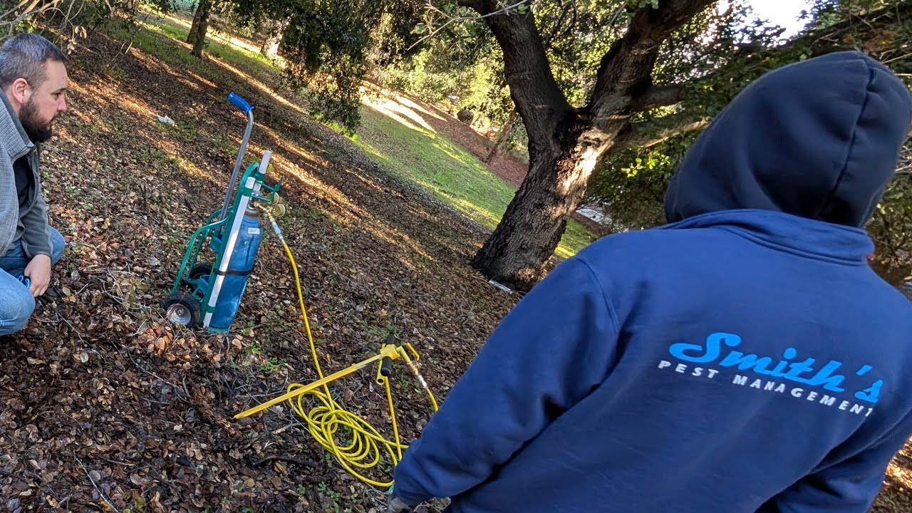 Carbon Dioxide Gassing Ground Squirrels and Gophers- the IGI Eliminator- Smith's Pest Management