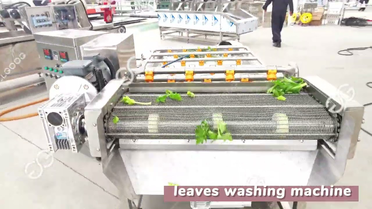 GGXQ Leafy Vegetable Washing Machine Price #leaves #washer