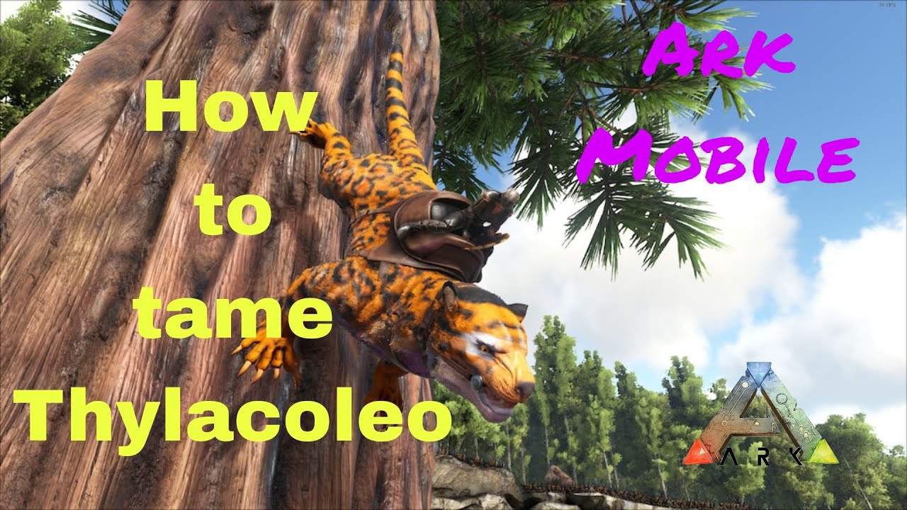 How To Tame Thylacoleo Easily || Ark Ultimate Survival Mobile Edition #arkmobile