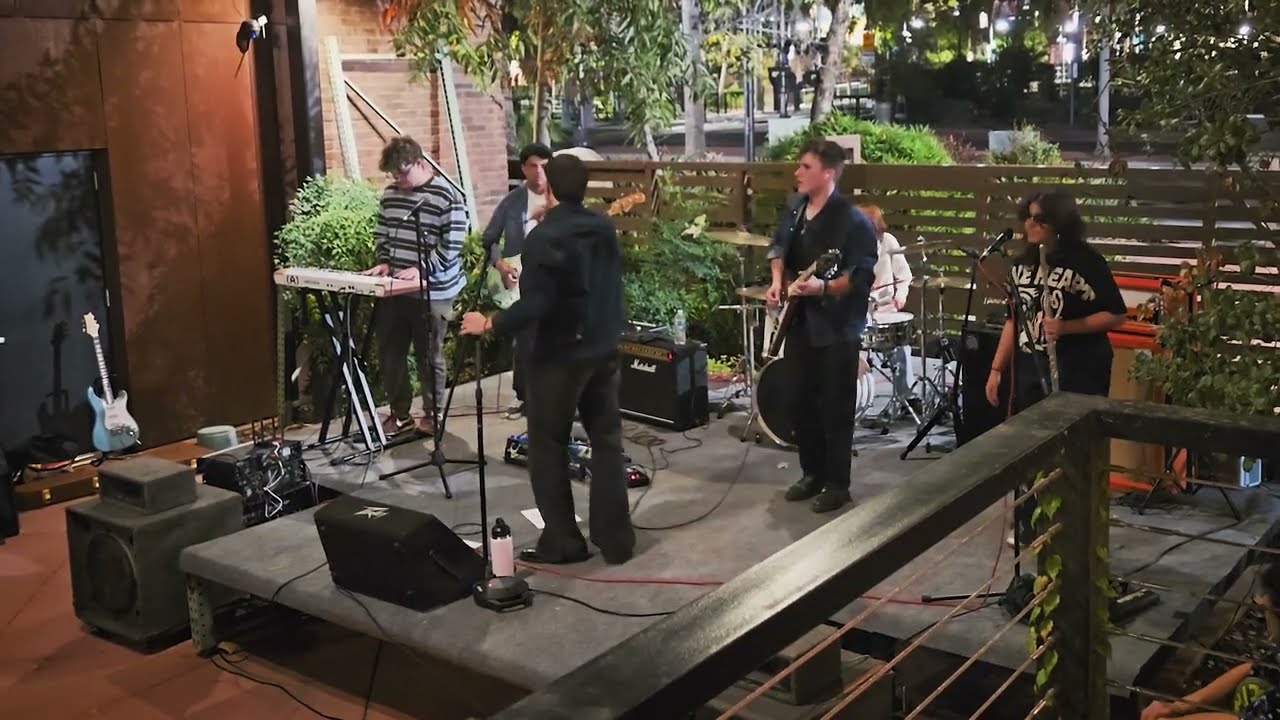 Reptilia - The Strokes cover by The Steez