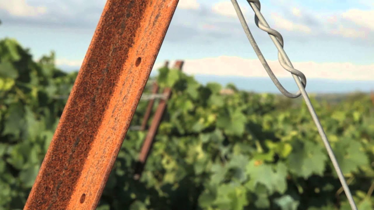Domaine de Barroubio - St Jean de Minervois