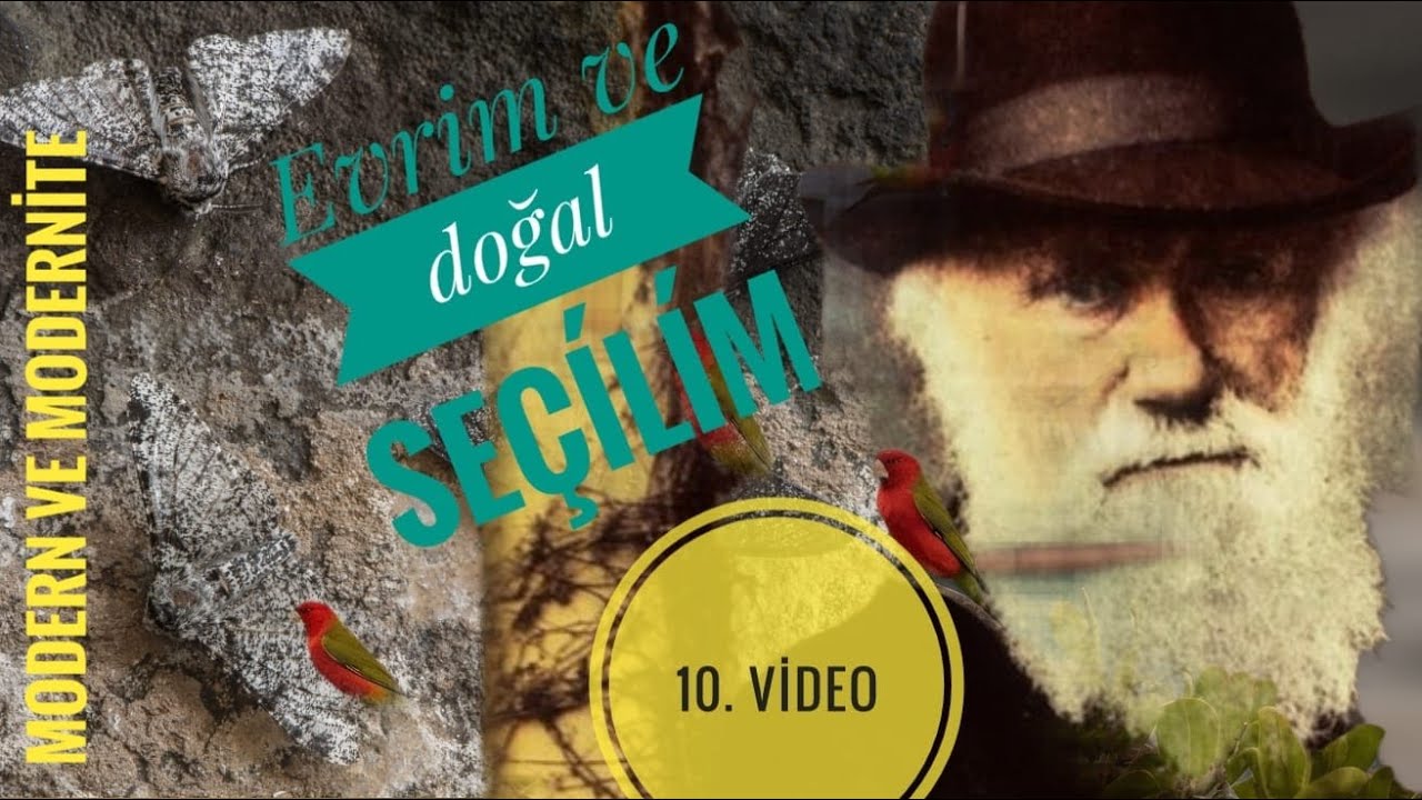 Evrim Teorisi  ve Modern Düşünceye Etkisi