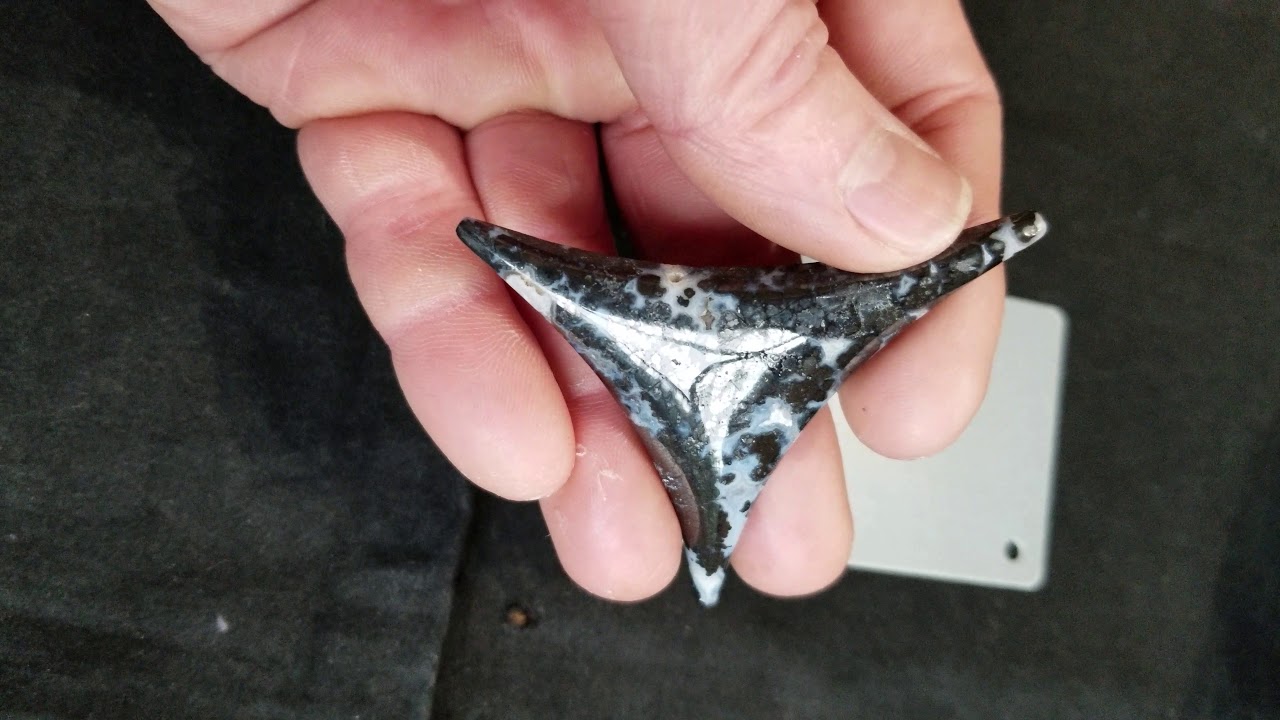 Psilomelane Cabochon